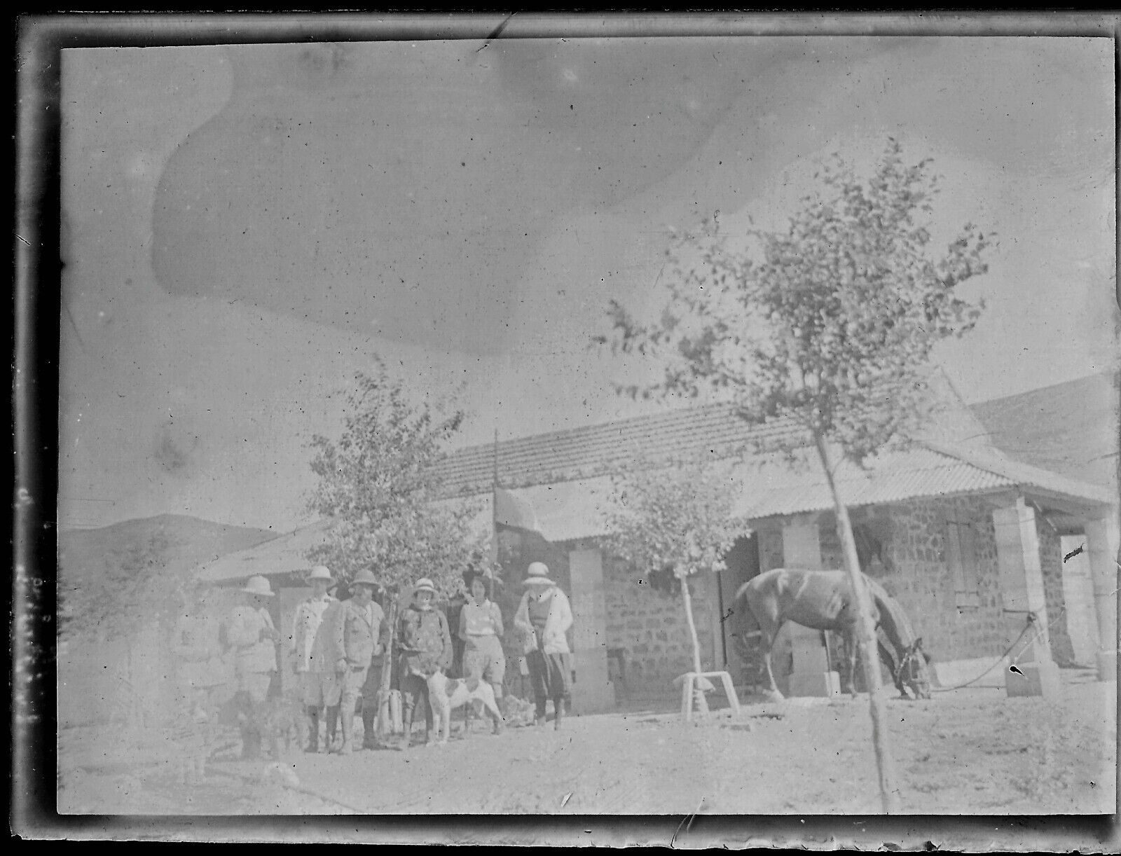 Plaque verre photo ancienne noir et blanc négatif 9x12 cm famille cheval