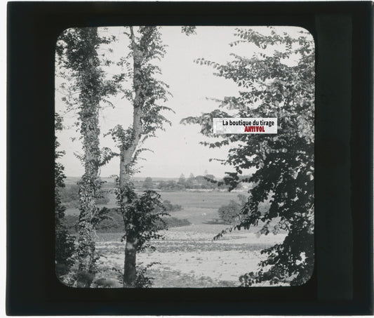 Paysage, campagne, nature, photo ancienne plaque de verre, positif 8,5x10 cm