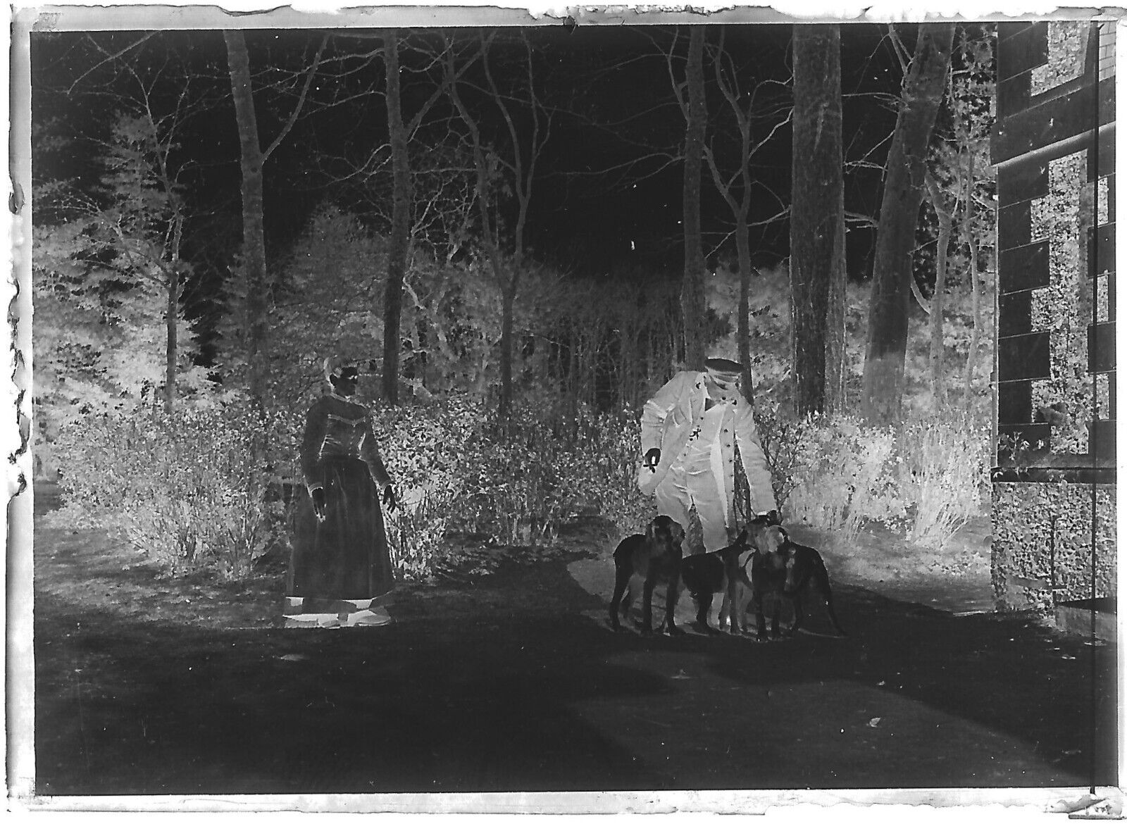 Plaque verre photo ancienne négatif noir et blanc 6x9 cm chien chasse vintage - La Boutique Du Tirage 