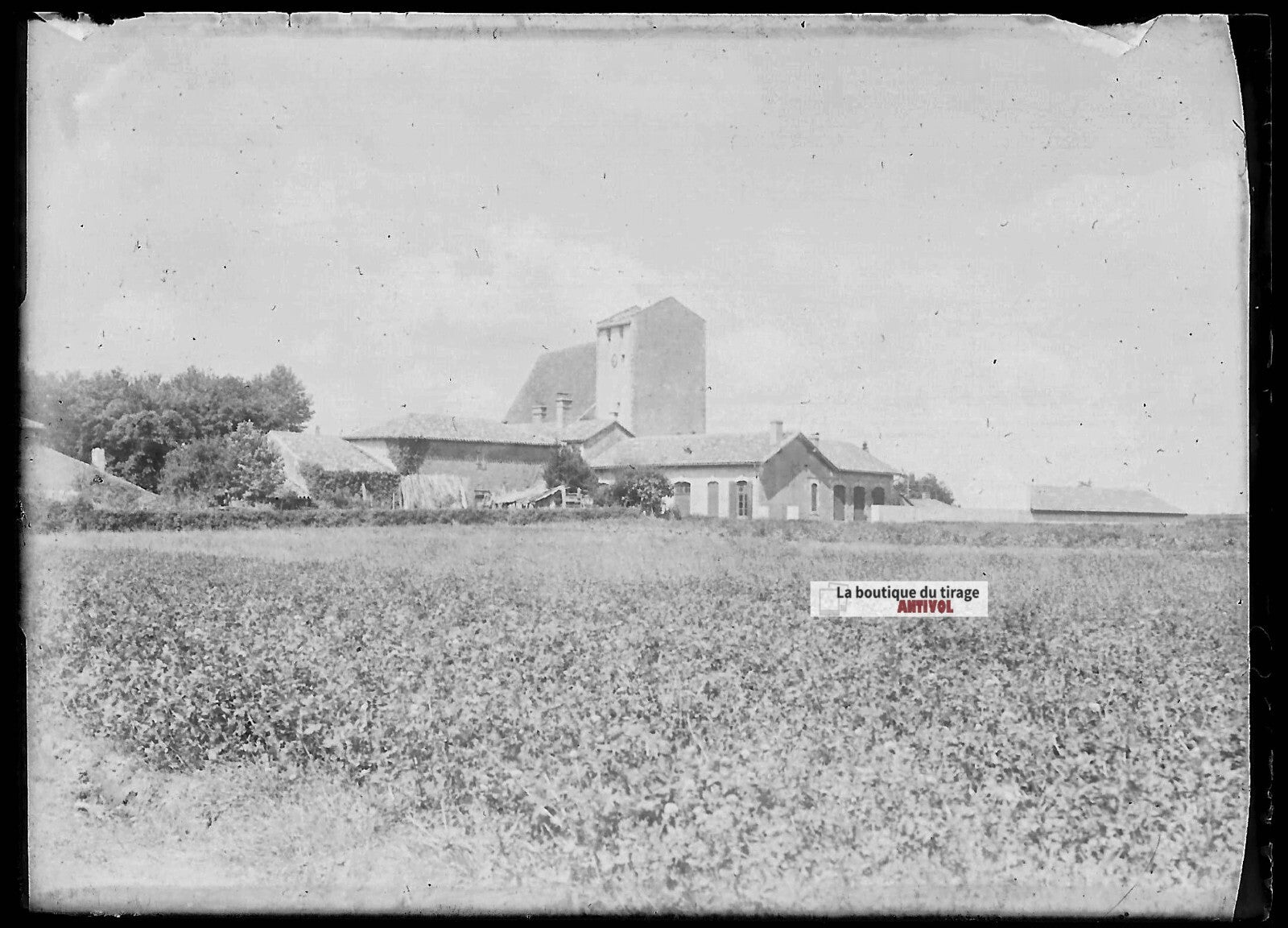 Plaque verre photo ancienne négatif noir et blanc 6x9 cm ferme nature France 