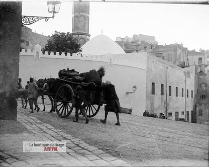 Mosquée du Pacha, Oran, Algérie, plaque verre, photo ancienne, négatif 9x12 cm