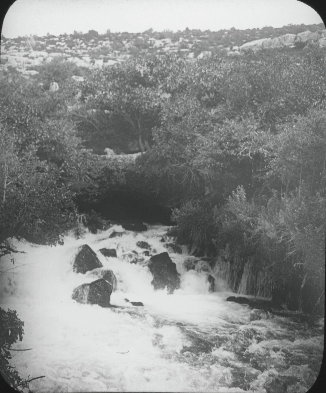 Source Fontaine l’Evêque, Var, photo ancienne plaque de verre, positif 8,5x10 cm