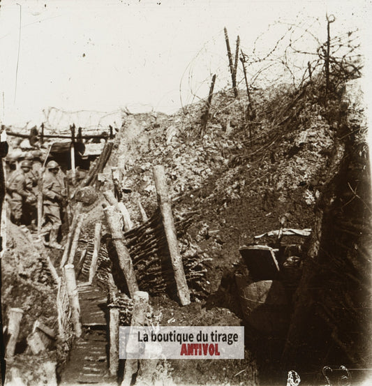 Massiges, Arbres aux Vaches, guerre WW1, plaque verre stéréo, photo 4,5x10,7 cm