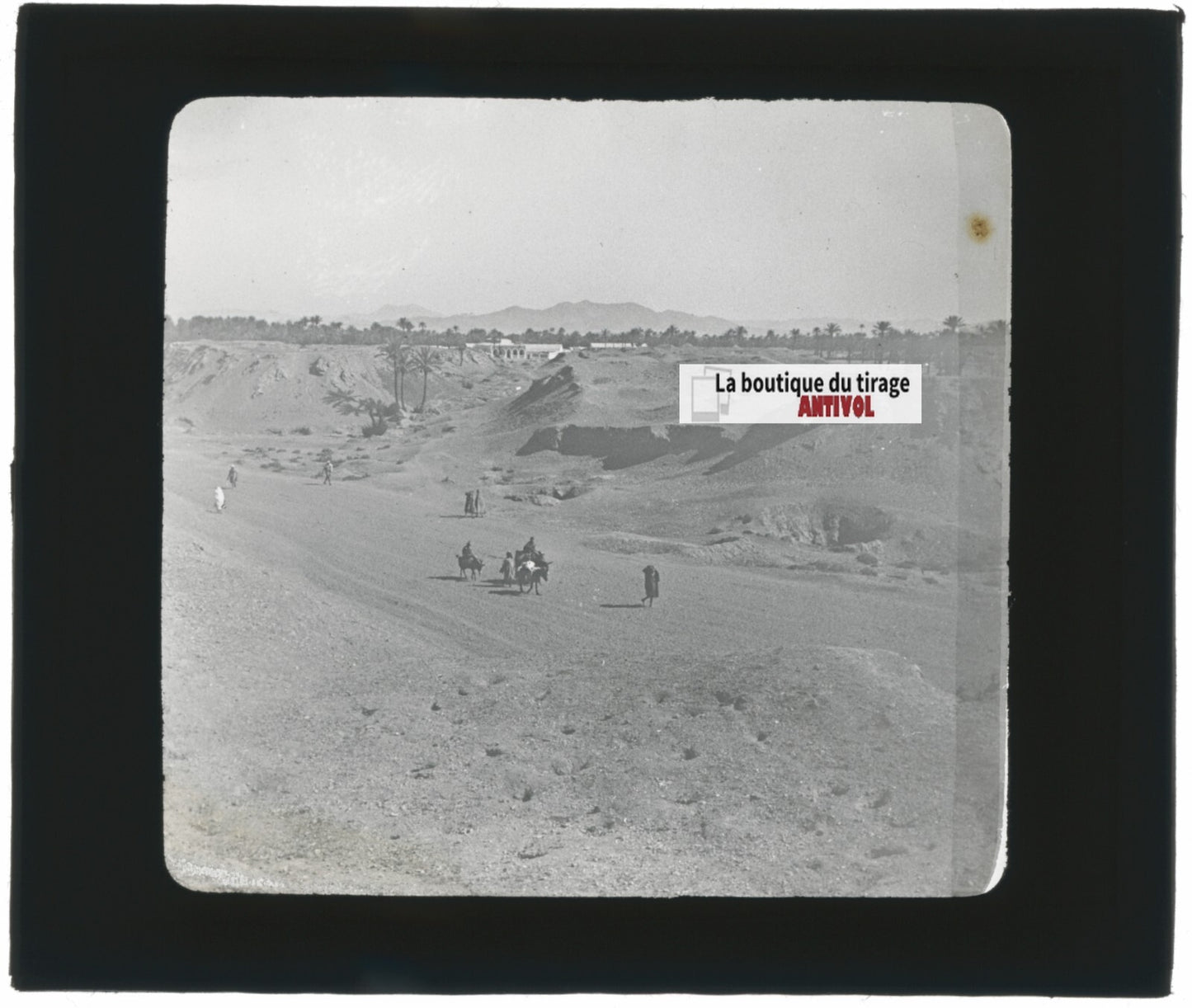 Paysage, désert sable, Maroc, photo ancienne plaque verre, positif 8,5x10 cm