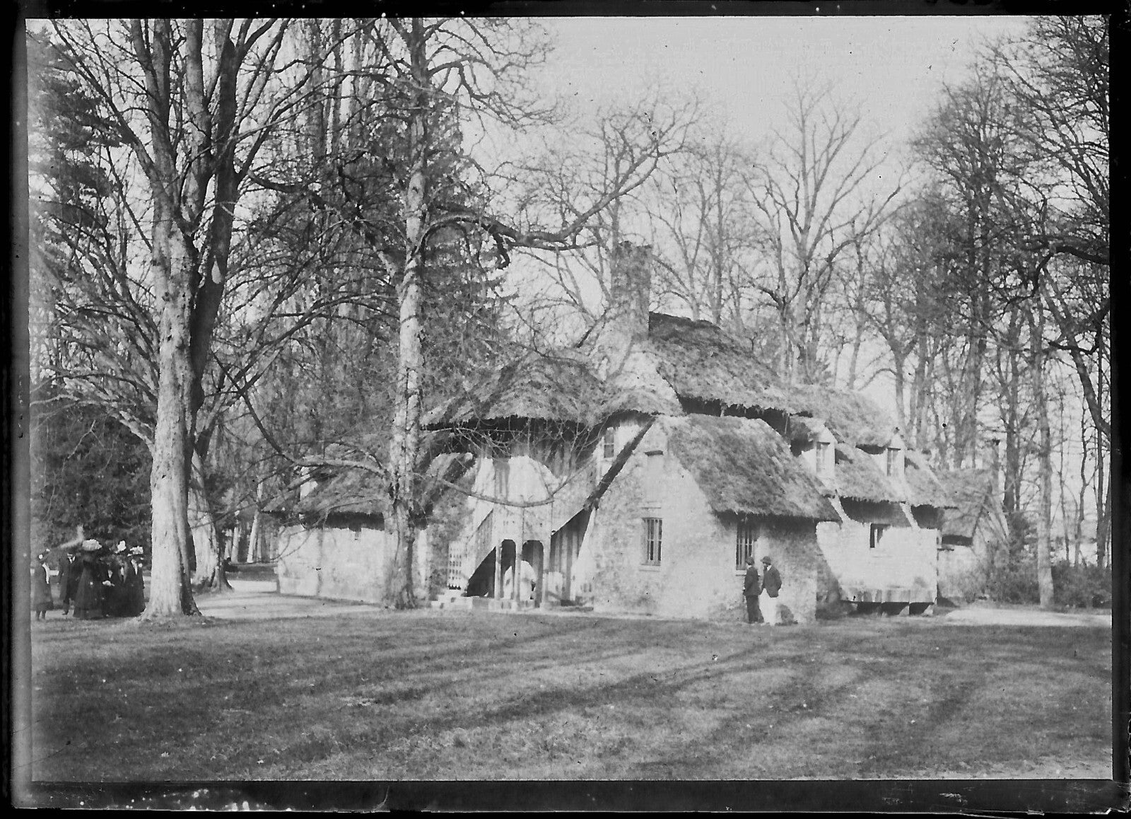 Plaque verre photo ancienne négatif 6x9 cm Trianon Versailles Parc, arbres