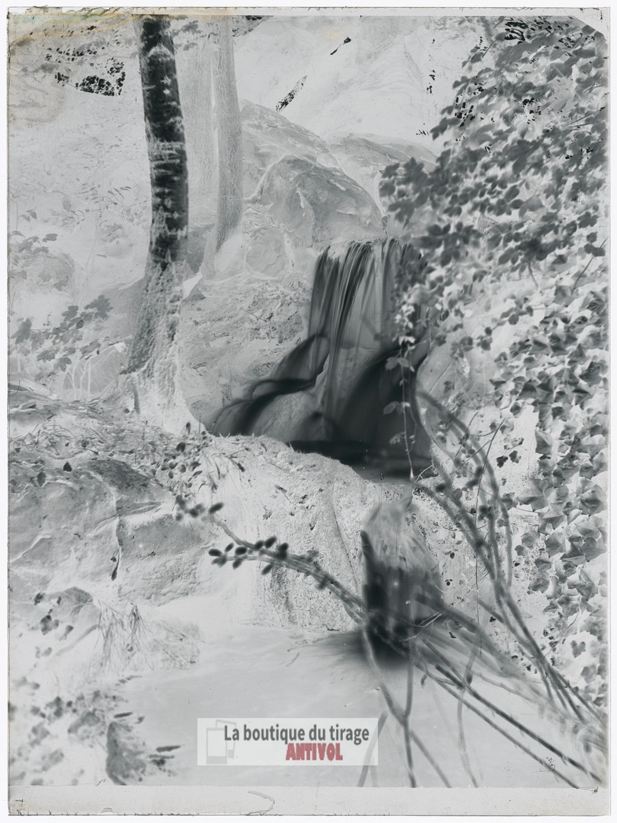 Cascade du bois de Boulogne Paris, plaque verre, photo ancienne, négatif 9x12 cm