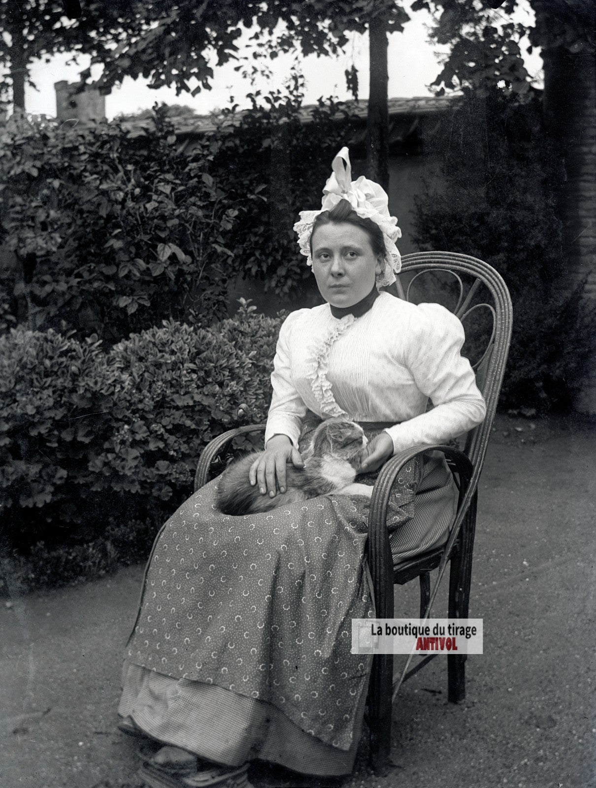 Jeune femme, chat, costume, plaque verre photo ancienne, négatif 9x12 cm