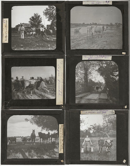 Travaux agricoles, France, photos plaques de verre, lot de 10 positifs 8,5x10 cm