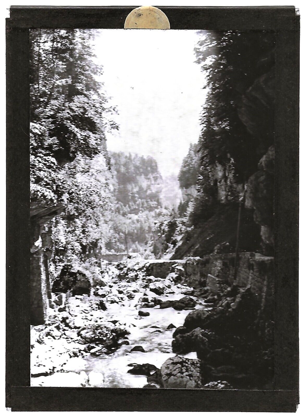 Plaque verre photo ancienne positif noir et blanc 6x9 cm Vercors nature rivière