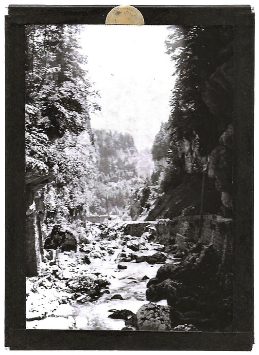 Plaque verre photo ancienne positif noir et blanc 6x9 cm Vercors nature rivière