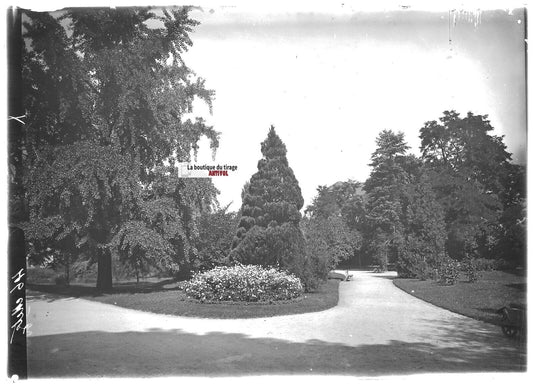 Plaque verre photo ancienne positif noir et blanc 13x18 cm Metz jardin public