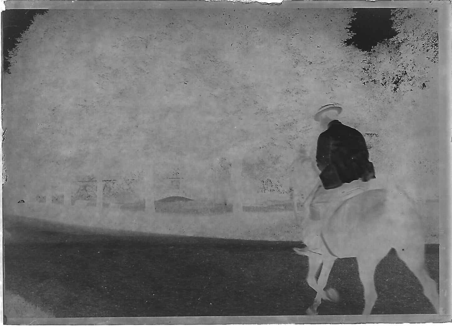 Plaque verre photo négatif noir et blanc 6x9 cm homme sur cheval glass plate 