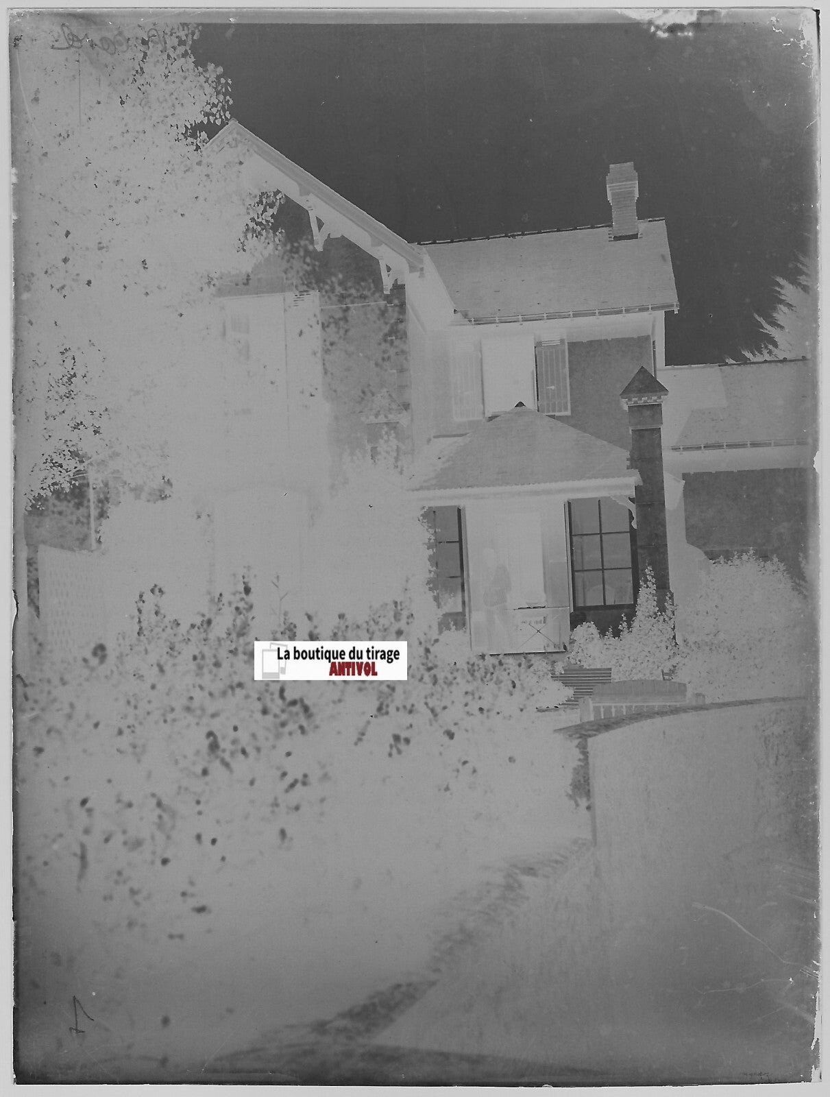 Jardin, maison, Plaque verre photo ancienne, négatif noir & blanc 9x12 cm