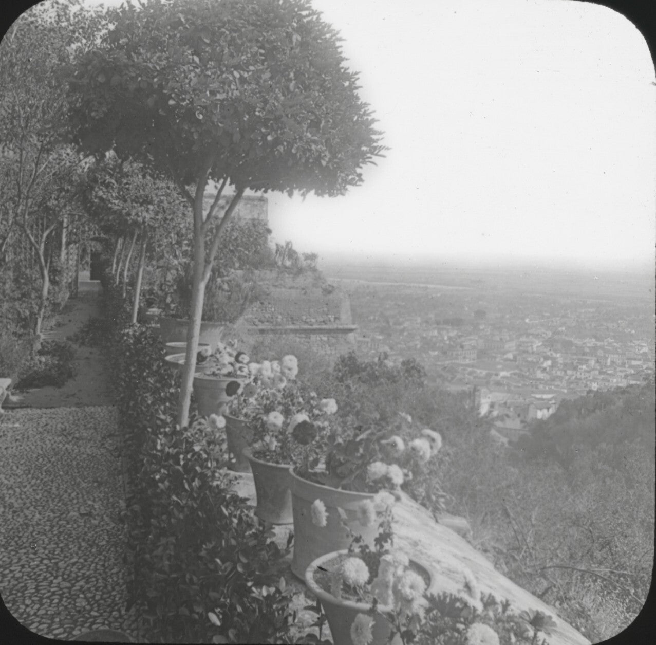 Grenade, vue prise depuis l'Alhambra, photo plaque de verre, positif 8,5x10 cm