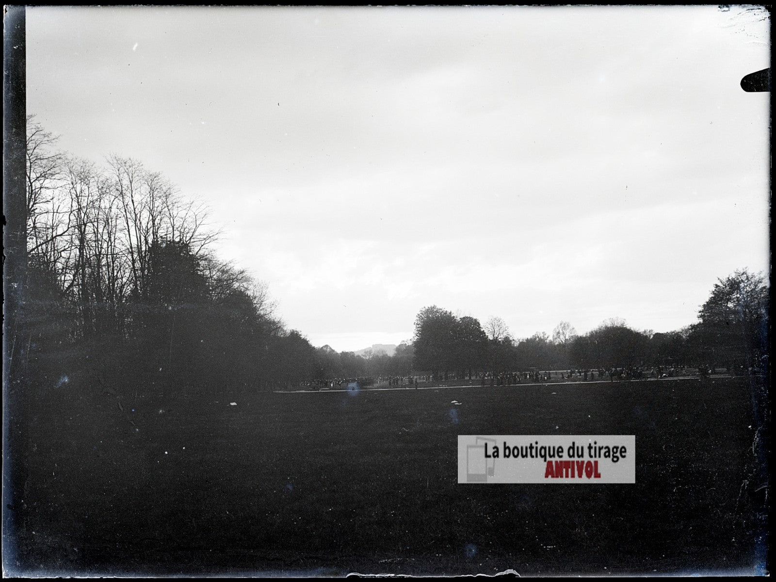 Promenade dans un grand parc, plaque verre photo ancienne, négatif 9x12 cm