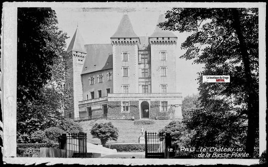 Plaque verre photo vintage, négatif noir & blanc 9x14 cm, façade château Pau