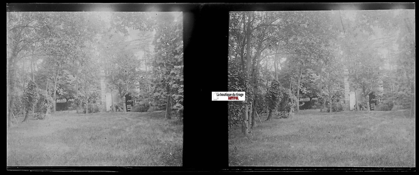 Jardin, forêt, Plaque verre photo stéréo, négatif noir & blanc 4,5x10,7 cm
