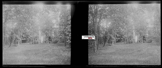 Jardin, forêt, Plaque verre photo stéréo, négatif noir & blanc 4,5x10,7 cm