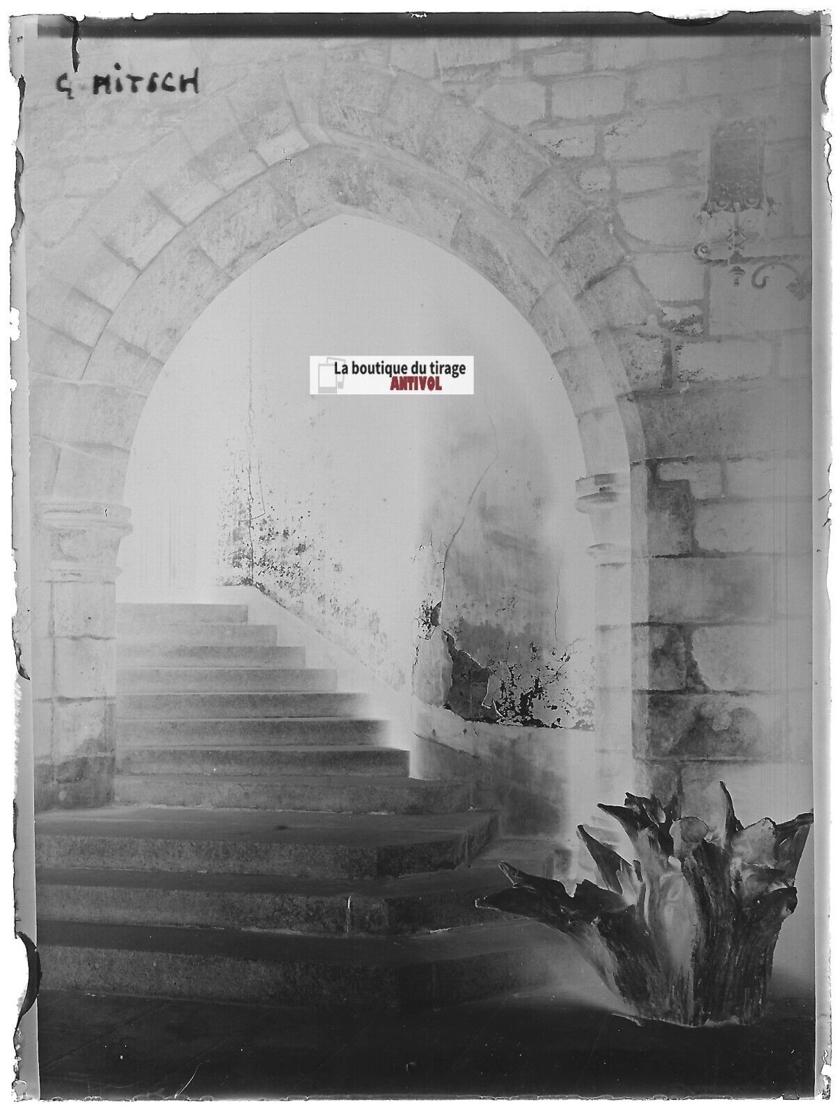 Château Montmuran, Nitsch, Plaque verre photo, négatif noir & blanc 9x12 cm