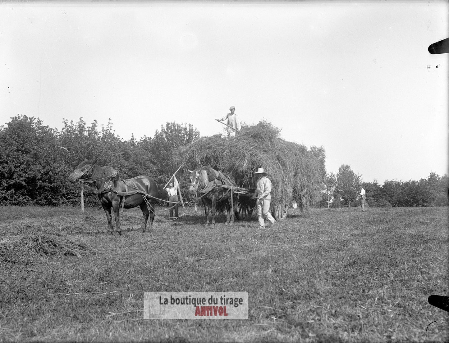 Scène de campagne française, plaque verre, photo ancienne, négatif 9x12 cm