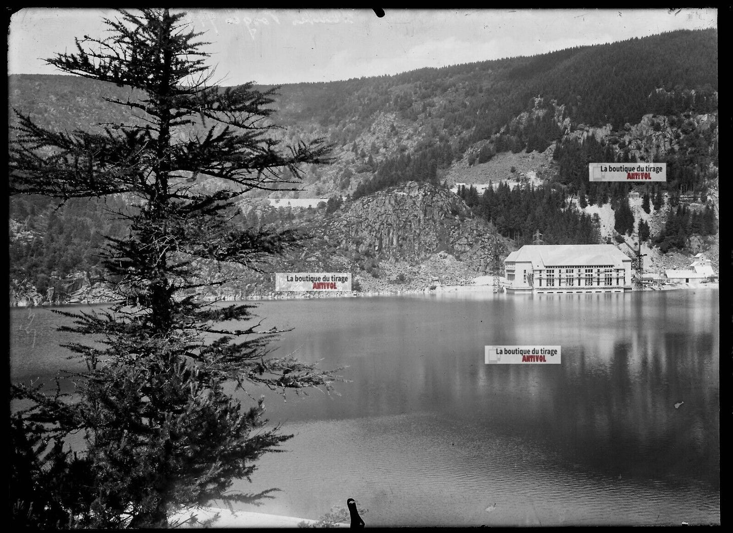 Plaque verre photo ancienne négatif noir et blanc 13x18cm lac Noir Orbey Vosges