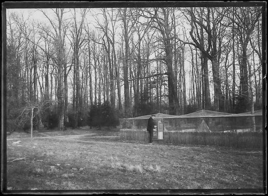 Plaque verre photo négatif noir et blanc 6x9 cm élevage chasse gibier Homme 