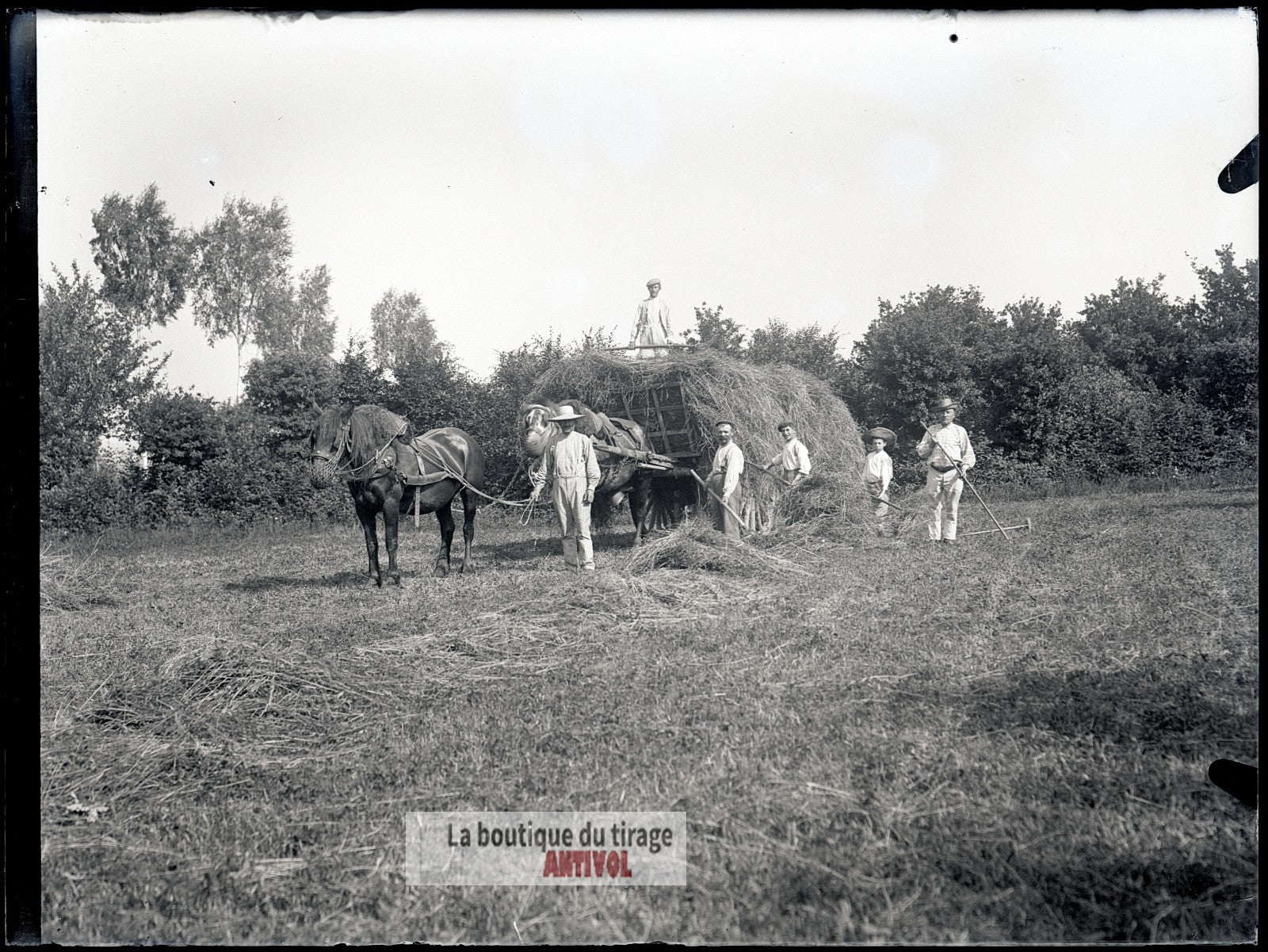 Scène de campagne française, plaque verre, photo ancienne, négatif 9x12 cm