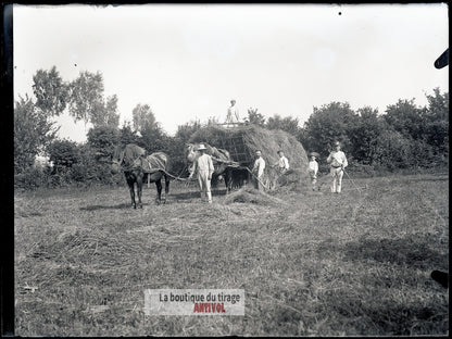 Scène de campagne française, plaque verre, photo ancienne, négatif 9x12 cm
