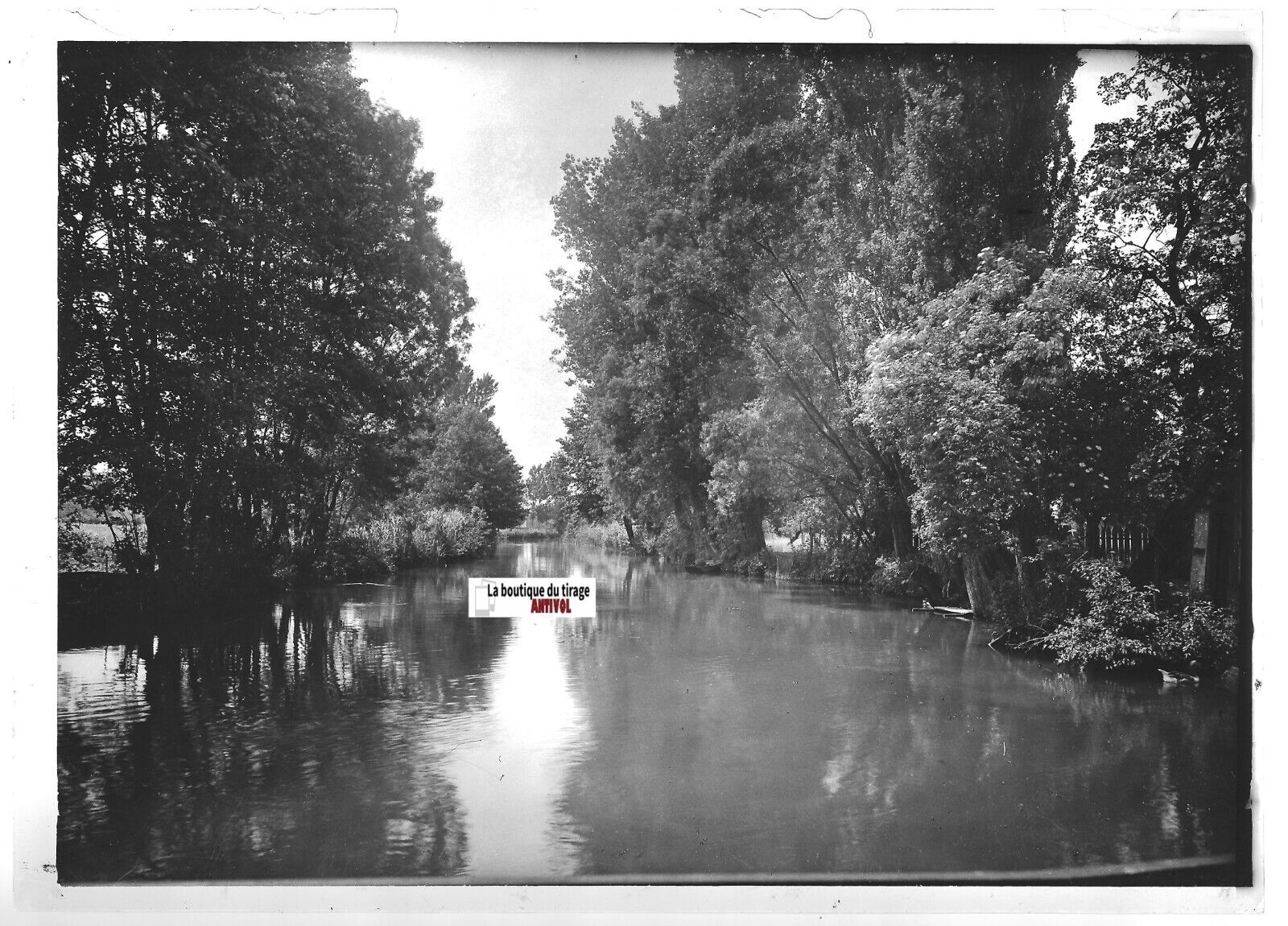 Plaque verre photo positif noir & blanc 13x18 cm Plobsheim Le Rhin Tortu eau