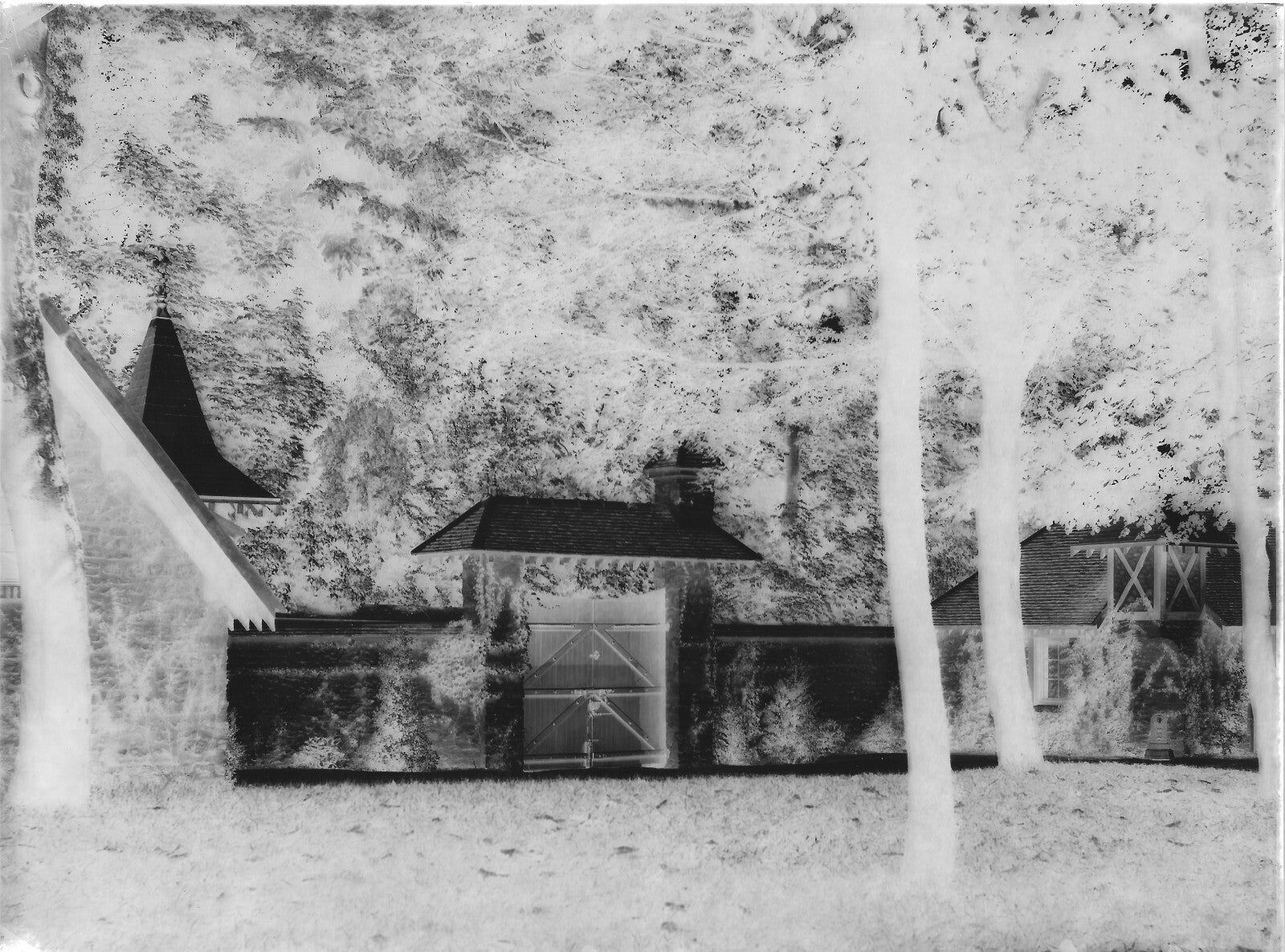 Plaque verre photo négatif 18x24 cm entrée château, noir et blanc vintage 