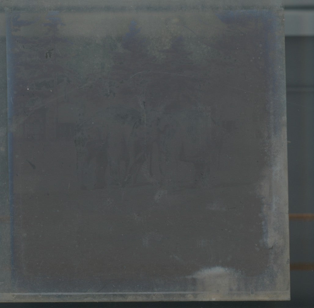 Eléphants Parc zoologique, photo ancienne plaque verre, noir & blanc, 8,4x7,7 cm