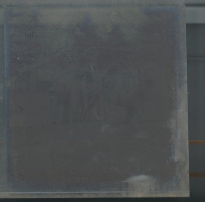 Eléphants Parc zoologique, photo ancienne plaque verre, noir & blanc, 8,4x7,7 cm