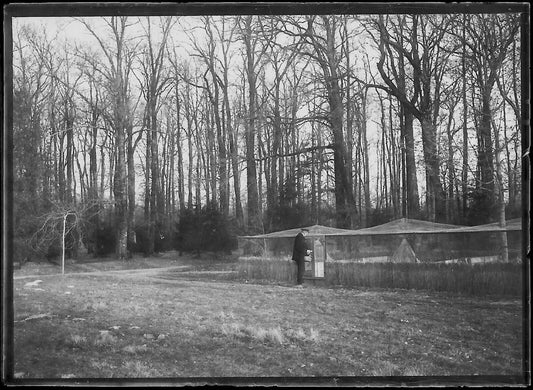 Plaque verre photo négatif noir et blanc 6x9 cm élevage chasse gibier Homme 