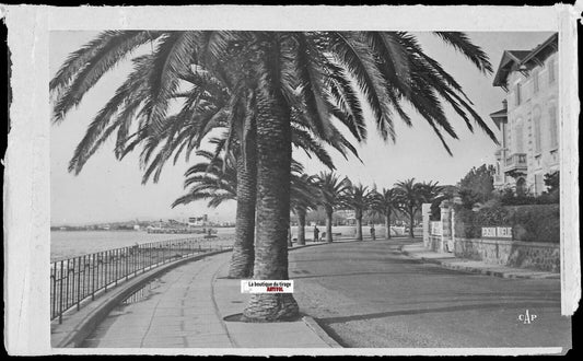 Saint-Raphaël, Félix Martin, Plaque verre photo, négatif noir & blanc 9x14 cm