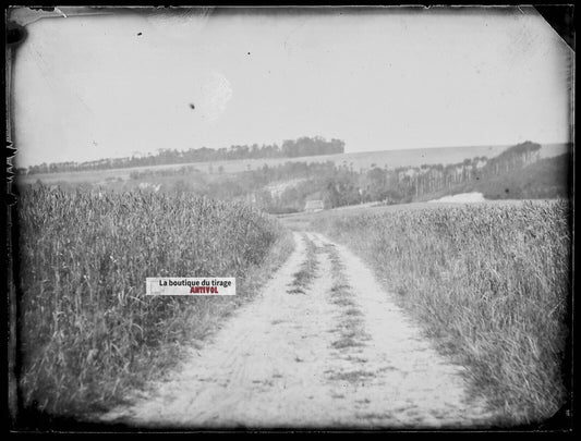 Plaque verre photo ancien négatif noir et blanc 9x12 cm nature chemin campagne