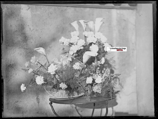 Bouquet fleurs, Plaque verre photo ancienne, négatif noir & blanc 9x12 cm