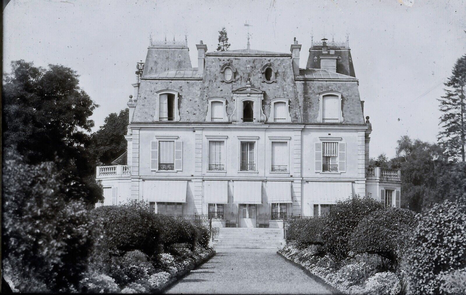 Plaque verre photo ancienne négatif 9x14 cm, noir et blanc arbre parc