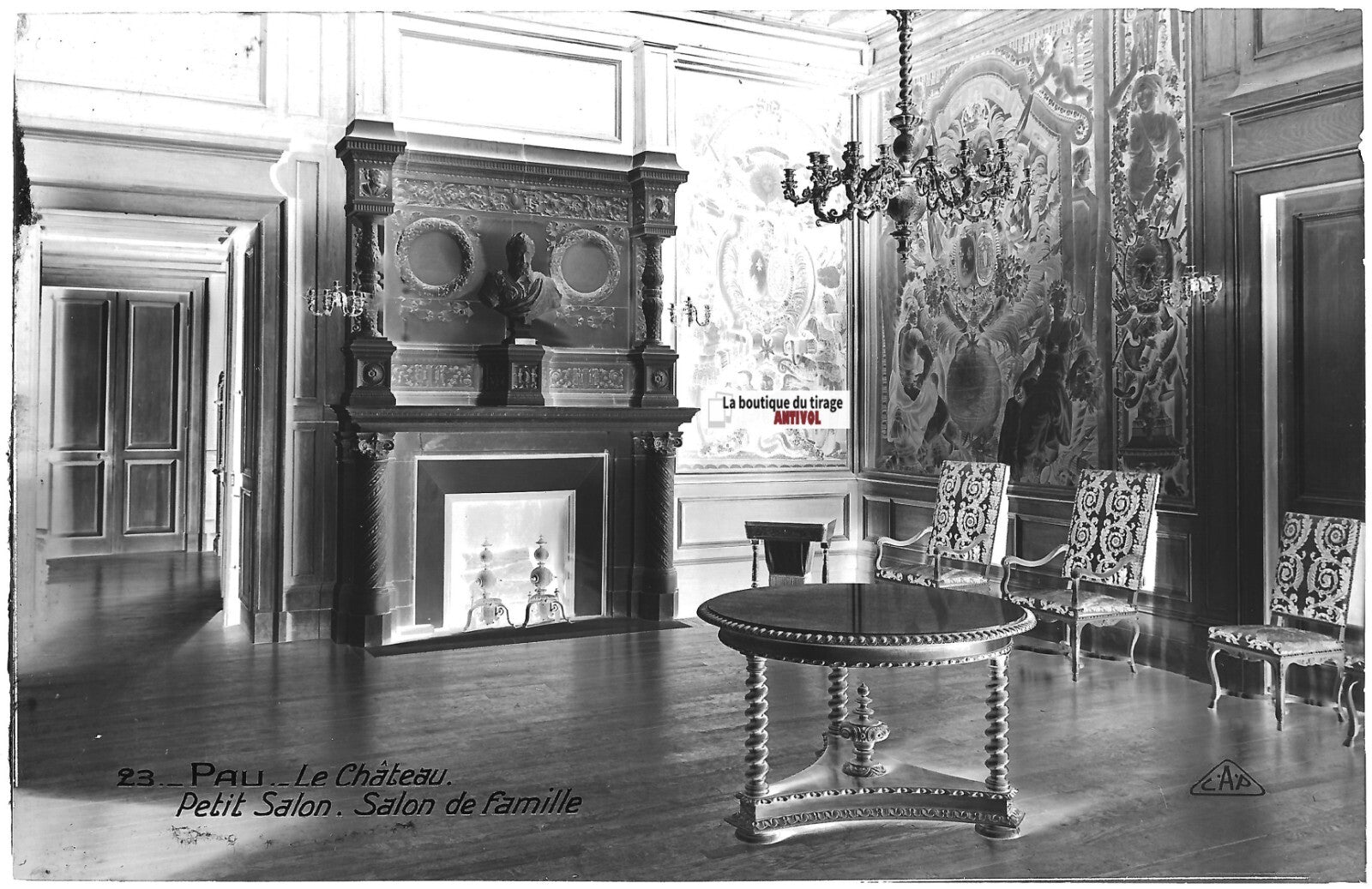 Plaque verre photo vintage, négatif noir & blanc 9x14 cm, château Pau, salon