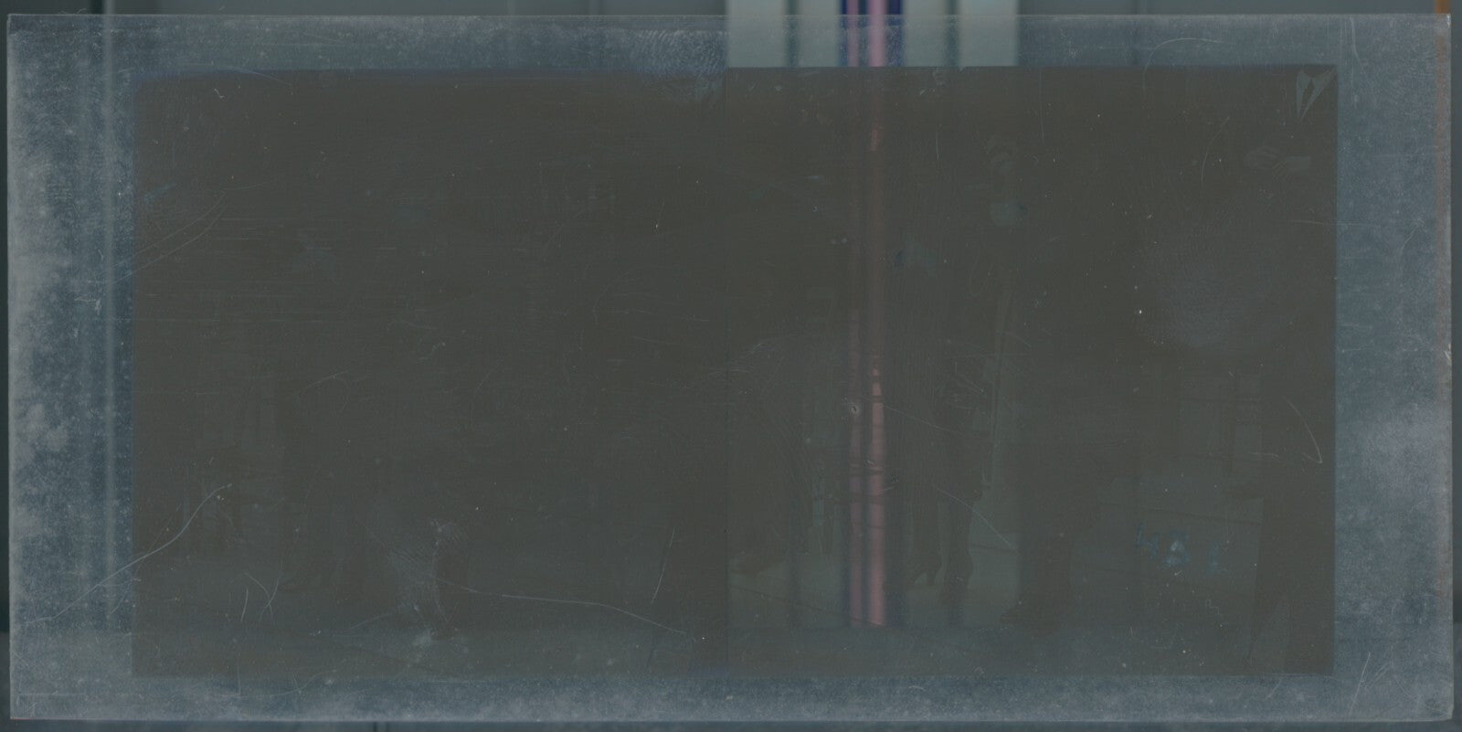 Scène de vie, Longchamp, Paris, plaque verre stéréoscopique, positif 8,5x17 cm