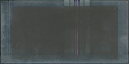 Scène de vie, Longchamp, Paris, plaque verre stéréoscopique, positif 8,5x17 cm