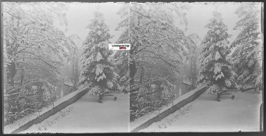Hiver, neige, Plaque verre photo ancienne, stéréo négatif noir & blanc 9x18 cm