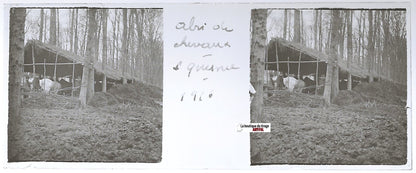 Le Quesne, WW1, Plaque verre stéréo, positif ancien noir & blanc 4,5x10,7 cm