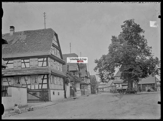 Plaque verre photo ancienne négatif noir et blanc 13x18 cm Hoffen village Alsace