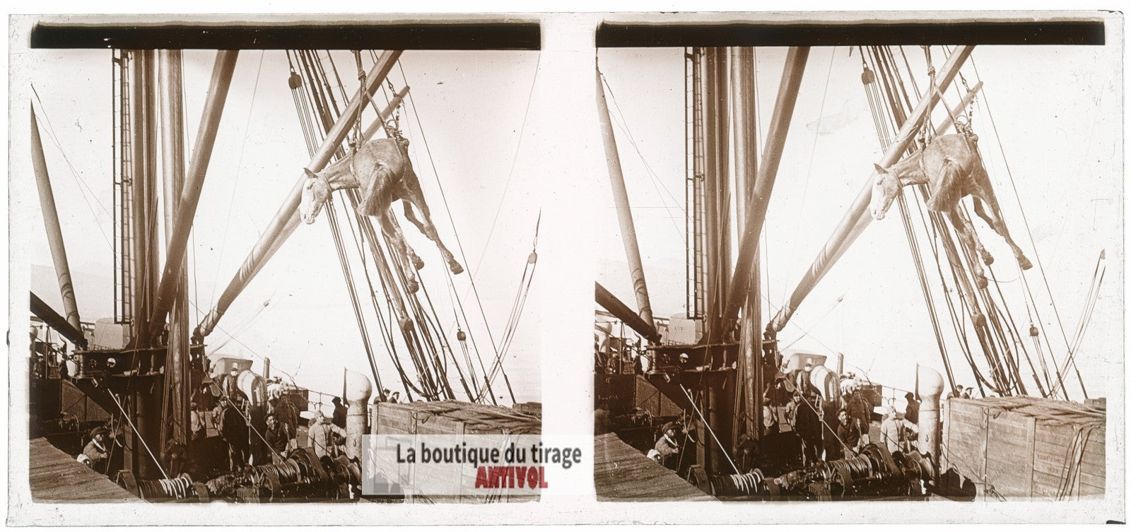 Embarquement de chevaux, bateau, plaque de verre, photo ancienne stéréo 6x13 cm