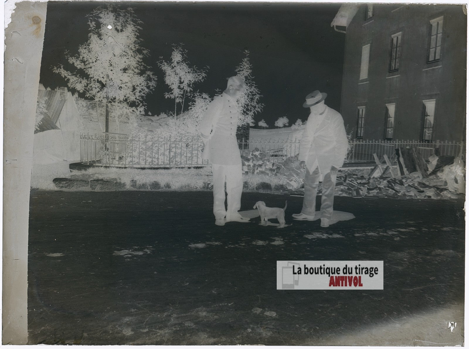 Deux hommes, chien, militaire, plaque verre photo ancienne, négatif 9x12 cm