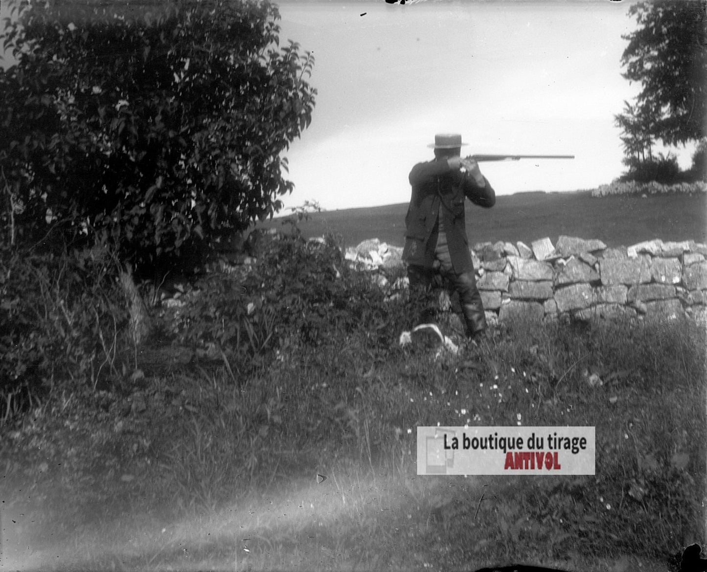Chasseur au fusil et chien, plaque verre photo ancienne, négatif 9x12 cm