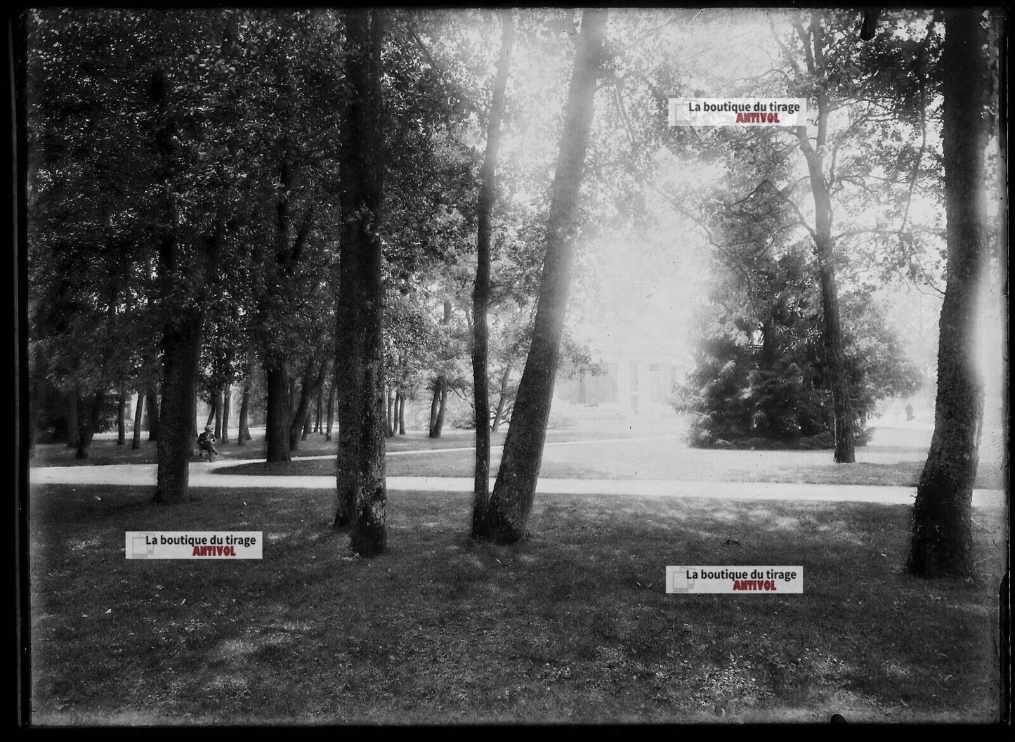 Plaque verre photo ancienne négatif noir et blanc 13x18 cm Vittel parc France