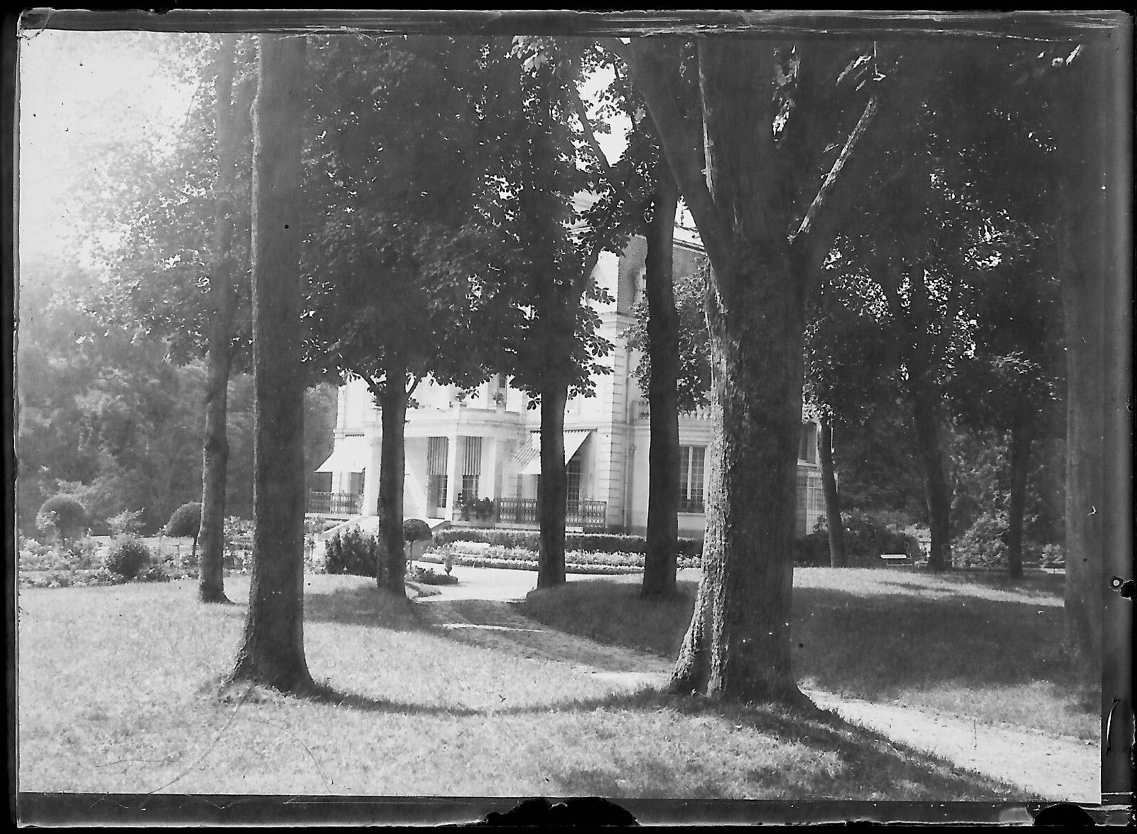 Plaque verre photo ancienne négatif noir et blanc 6x9 cm parc château arbres