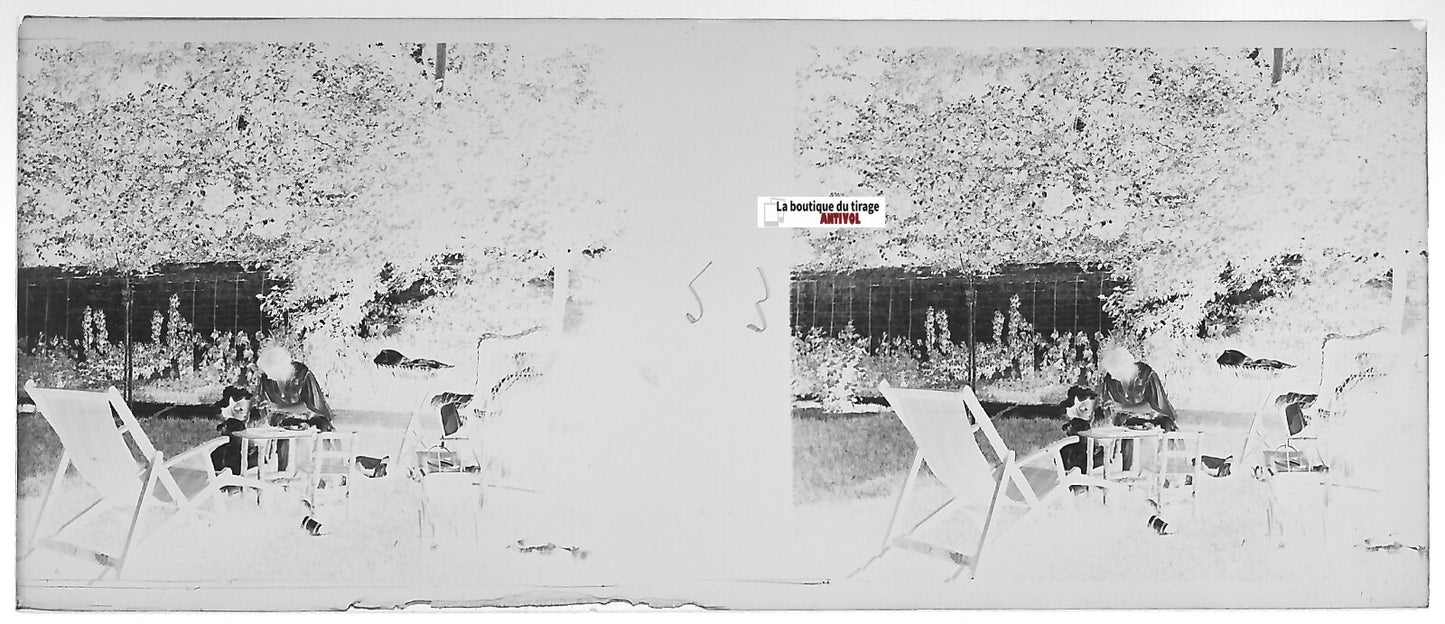Parc, détente, Plaque verre photo stéréo, négatif noir & blanc 4,5x10,7 cm