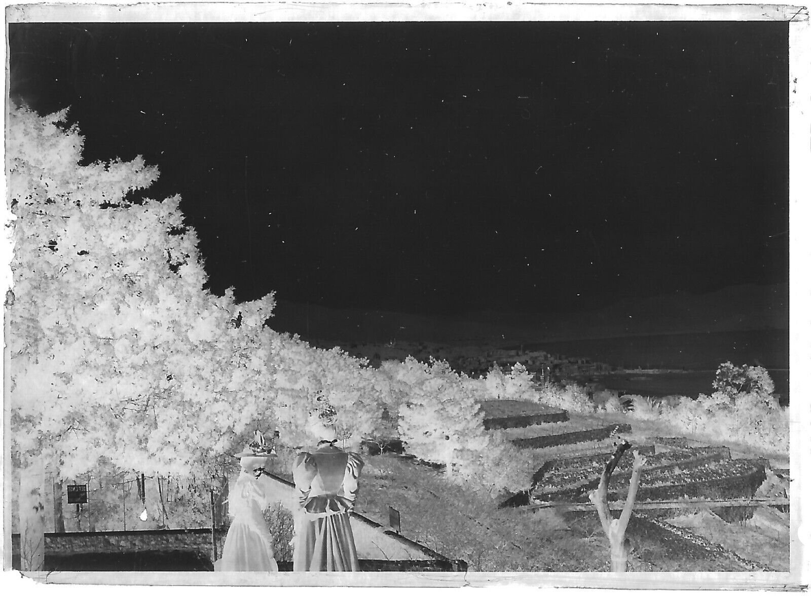 Plaque verre photo négatif noir et blanc 6x9 cm mer Provence femmes paysage 